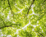 We’re helping to fund carbon removal technology